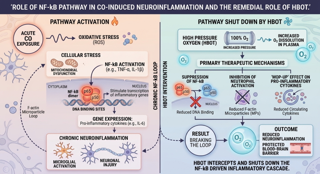 Diagram showing carbon monoxide poisoning HBOT treatment pathway for NF-kB reduction